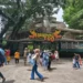 Bandung Zoo Kembali Buka: Bayar Seikhlasnya, Uang hingga Sayuran