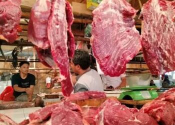 Mentan Andi Amran  Sebut Kuota Impor Daging Ruminansia 2026 untuk Amankan Stock Nasional dan Ramadhan