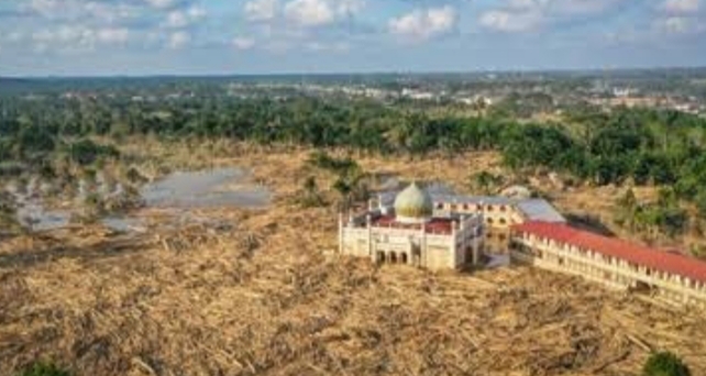 Jatam Sebut Sawit Sinar Mas–Musim Mas Picu Bencana Aceh, DPR: Akan Kami Cek