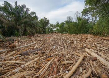 Usut Pembalakan Liar Pemicu Banjir Tapteng, Polisi Bakal Umumkan Tersangka Pekan Depan