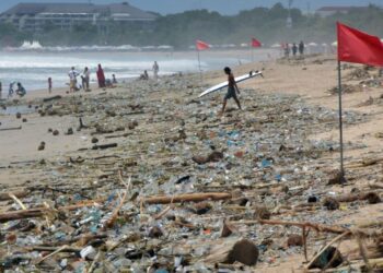 Bali Kotor, Parlemen Desak Program Waste to Energy Prioritas