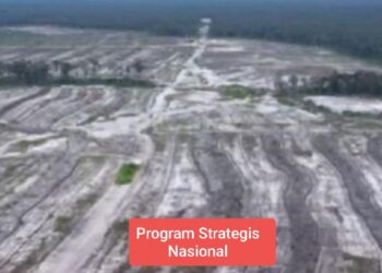 Food Estate vs. Hutan Adat: Antara Swasembada yang Dijanjikan dan Pengorbanan yang Tak Terhitung