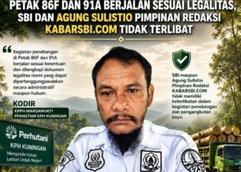 Perhutani KPH Kuningan Tegaskan Legalitas Penebangan di Petak 86F dan 91A “Agung Sulistio Tidak Terlibat”