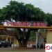 Kades Gembleb Akhirnya Angkat Bicara, Namun Pernyataannya Justru Memunculkan Sorotan Tajam!