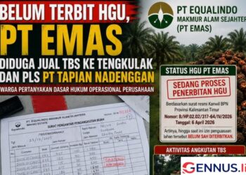 Belum Terbit HGU, PT EMAS Diduga Jual TBS ke Tengkulak dan PLS PT Tapian Nadenggan