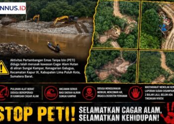 Tambang Emas Ilegal Merambah Cagar Alam di Sungai Kampar, GMOCT Minta Penegak Hukum Bertindak Tegas