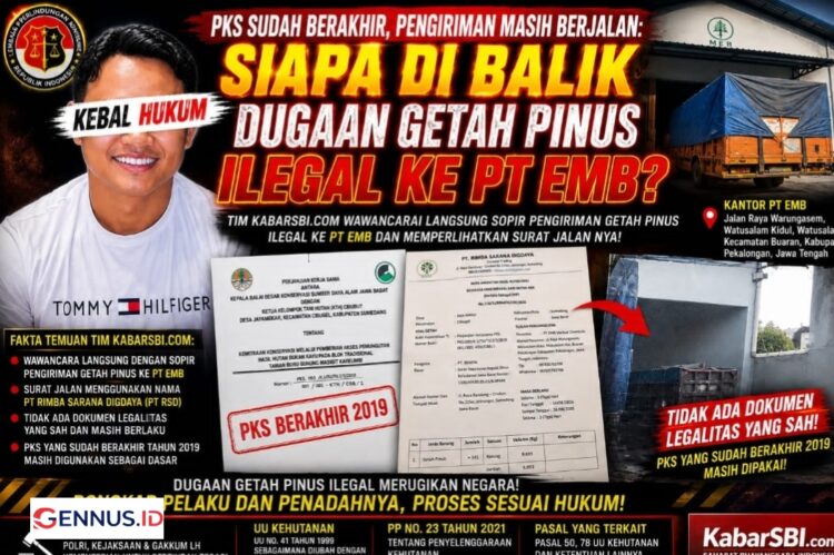 PKS Sudah Berakhir Pengiriman Masih Berjalan, Siapa Dibalik Dugaan Getah Pinus Ilegal ke PT EMB