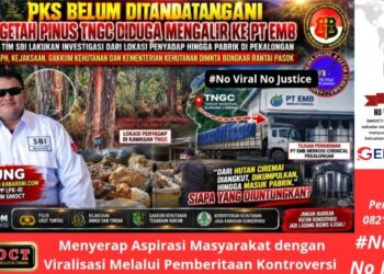 PKS Belum Tandatangan, Getah Pinus TNGC Sudah Mengalir ke PT EMB Pekalongan – APH, Kejaksaan & Gakkum Diminta Bongkar Rantai Pasok