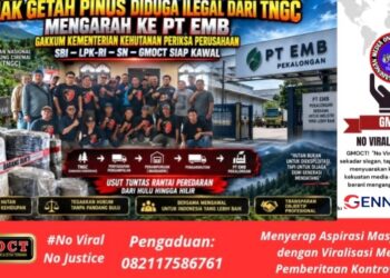 Jejak Getah Pinus Diduga Ilegal dari TNGC Mengarah ke PT EMB-Gakkum Kementerian Kehutanan Lakukan Pemeriksaan, SBI-LPK-RI-SN-GMOCT Siap Kawal