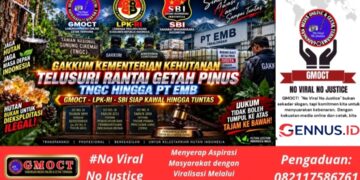 Gakkum Kementrian Kehutanan Telusuri Rantai Getah Pinus TNGC dan PT EMB, GMOCT-LPKRI-SBI Siap Kawal hingga Tuntas