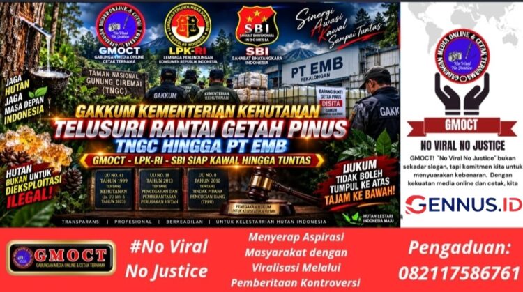 Gakkum Kementrian Kehutanan Telusuri Rantai Getah Pinus TNGC dan PT EMB, GMOCT-LPKRI-SBI Siap Kawal hingga Tuntas